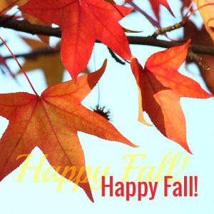 autumn-leaves-and-the-phrase-hello-fall